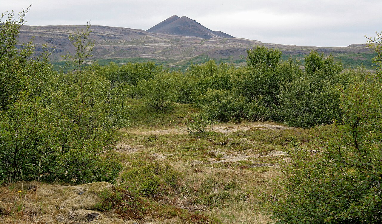 Glanni & Paradísarlaut, Iceland